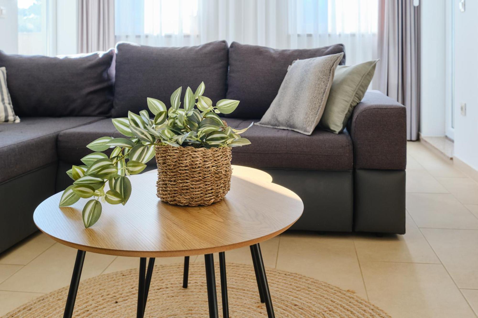Divna Apartment
